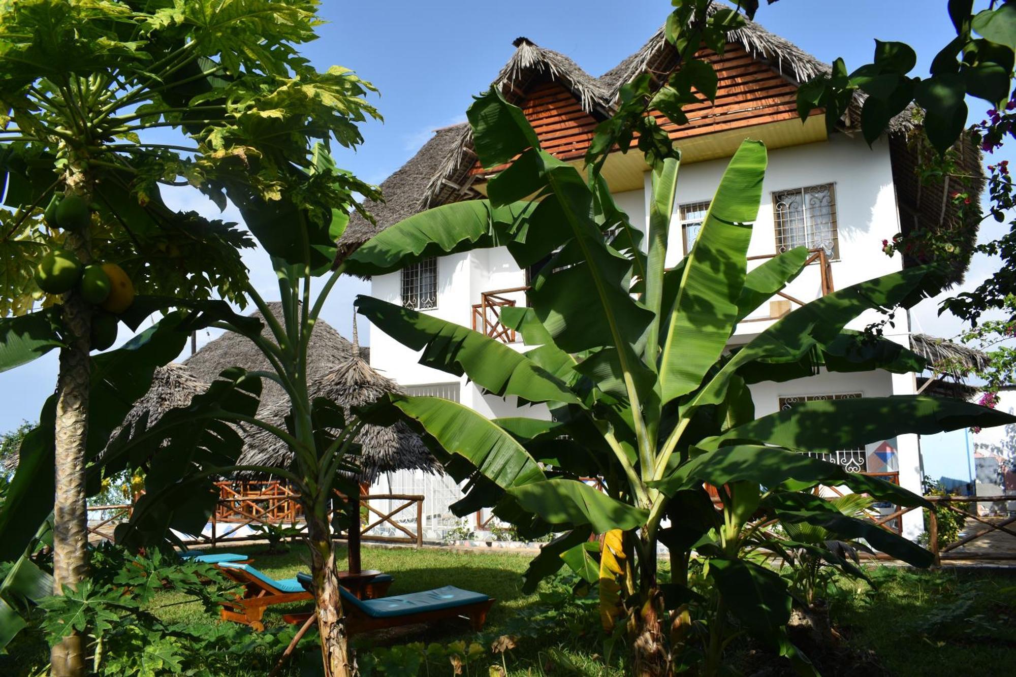 Pineapple House Bed & Breakfast Nungwi Luaran gambar