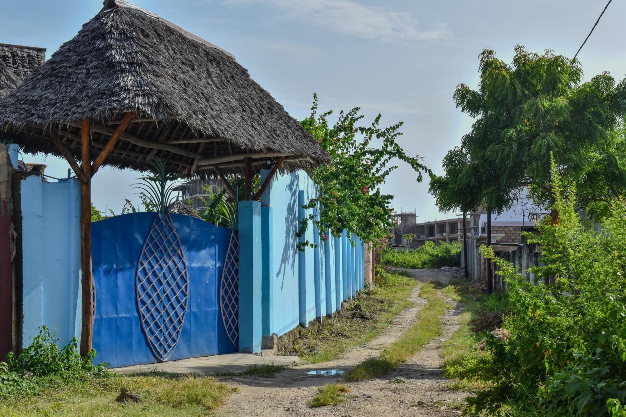 Pineapple House Bed & Breakfast Nungwi Luaran gambar
